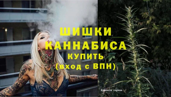 прущий лед Сясьстрой